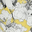 Yellow Print